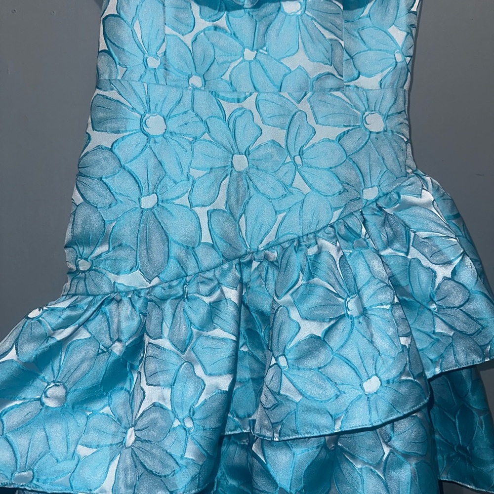 Blue Floral Ruffle Dress - Picture 5 of 5